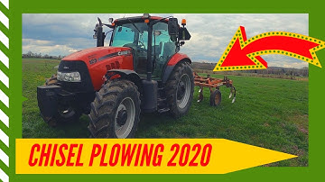 Case IH Maxxum 125 Plowing - (2020) Chisel plowing field