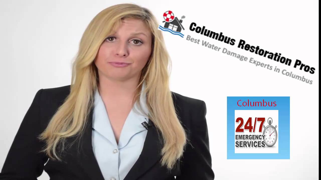 Mechanicsburg OH Mold Removal and Mold Remediation Restoration Experts