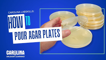 Carolina Lab Skills: How to Pour Agar Plates