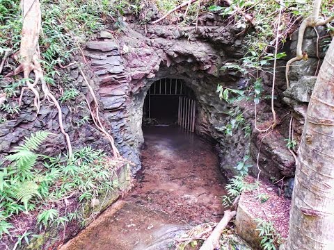 howzitboy hikes:Maunawili Ditch