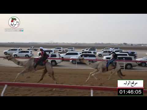 الشوط 4 دبي ل احمد مطر بن عبدالله الفلاسي 3 15 70 سباق التراثي 2021 7 10 الوثبه مارثون
