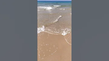 شطين في بحر Pozita Bacdz اكسبلور 