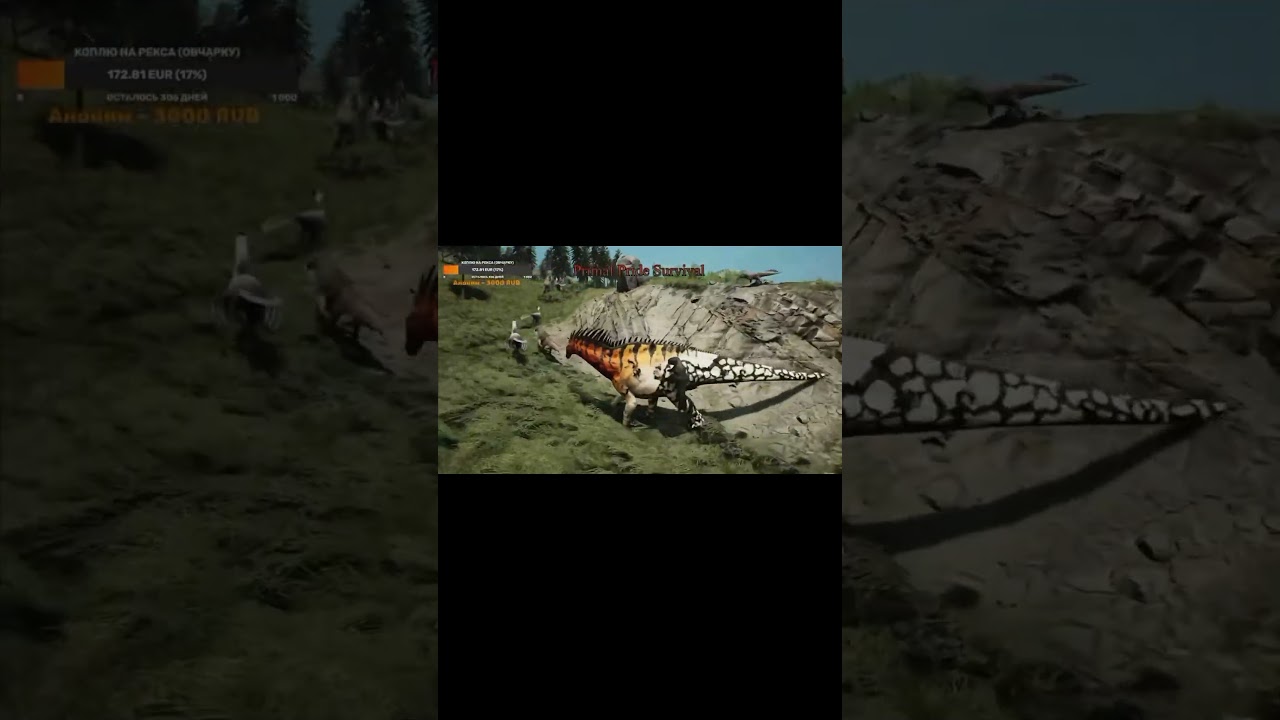 Гуляю со стадом 