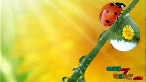 Veriﬁable Auditing for Outsourced Database in Cloud Computing | Final Year Projects 2015