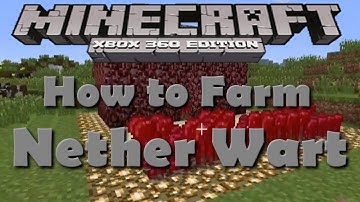 Minecraft Xbox 360 How to Grow Nether Wart