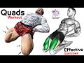 6 Easy Exercises Quadriceps Workout | Leg Day