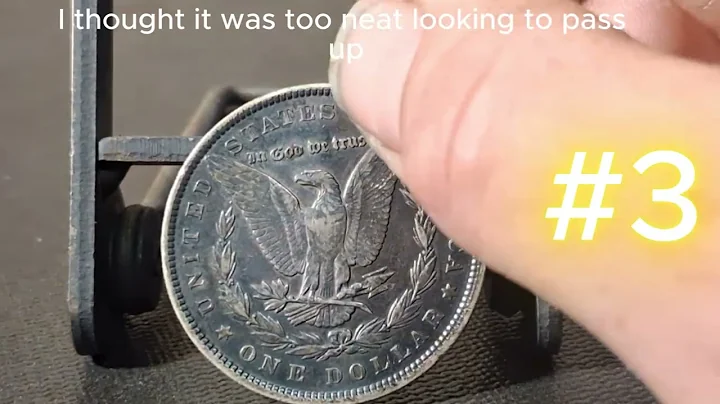 My Top 5 Morgan Dollars!