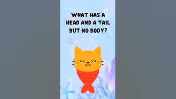What Has a Head and a Tail But No Body? 🤔