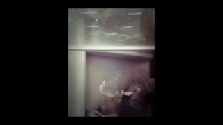 Свет в холодильнике выключается!!!(, 2016-01-03T14:05:00.000Z)