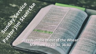 Sunday Service August 6, 2023 “Weeds in the Midst of the Wheat” Matthew 13:24-30, 36-43