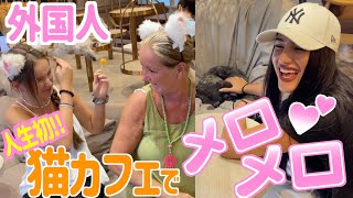 猫好き外国人、人生初日本の猫カフェに大感動！！