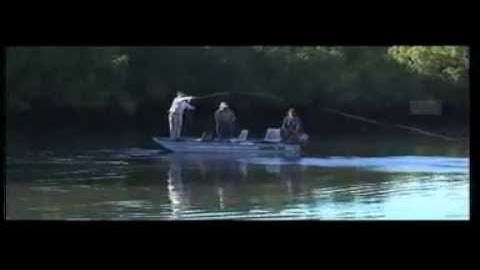 Video   TinyPic   Free Image Hosting, Photo Sharing & Video Hosting