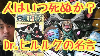 ヒルルク Youtube