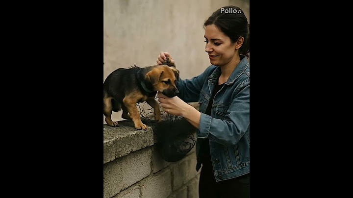 Kind Stranger Rescues Puppy Trapped in Net – Heartwarming Moment!