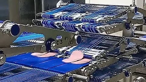 ELCAT Overlapping Modules MSEV3