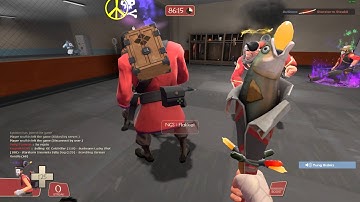Fun on a Unusual Trading Server - TF2