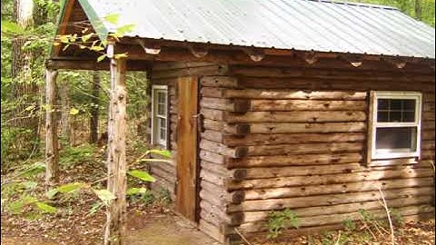 Improvisation #102 For Poly Evolver Keyboard and ARP Odysseys