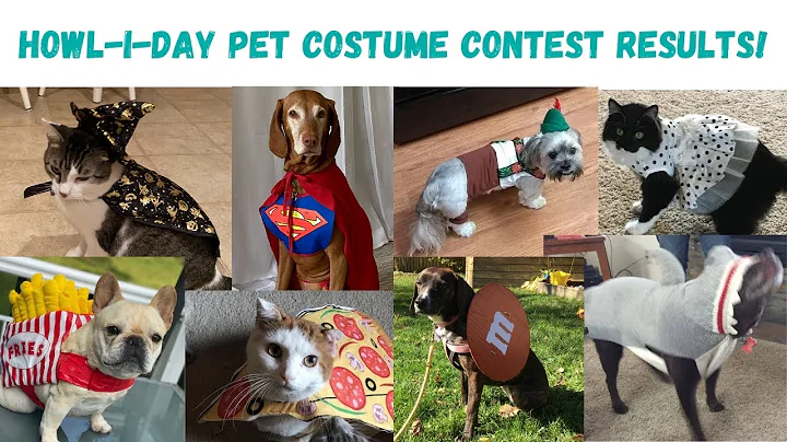 2020 Howl-i-day Costume Contest Results