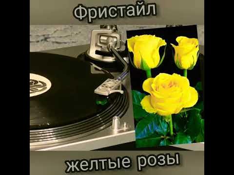 жёлтые розы фристайл. фристайл розы. группа фристайл желтые розы. группа фристайл желтые розы. жёлтые розы фристайл.