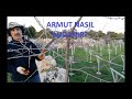 Armut Ağacı Nasıl Budanır?