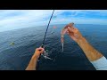 Light Tackle Pot Hopping with Squid for Mahi-mahi