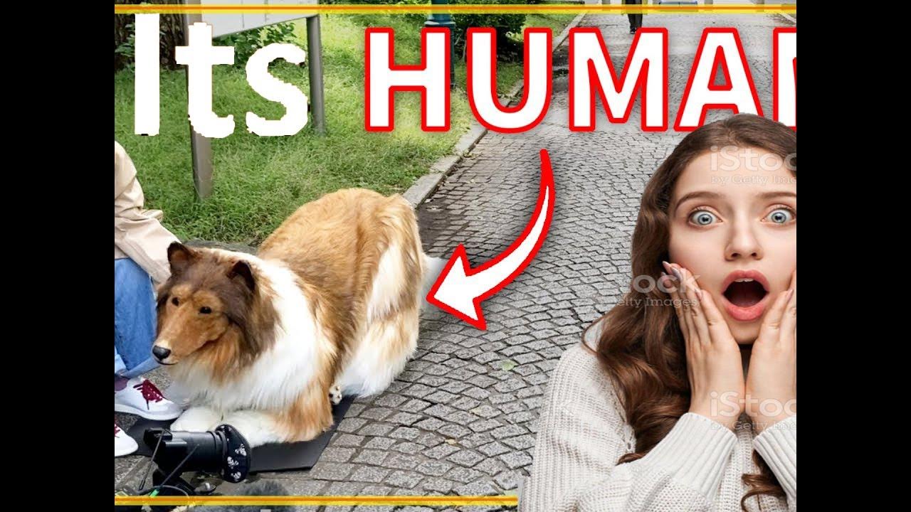japnese-man-spends-2-million-yens-to-transform-to-dog-documentary