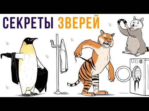 Комиксы. Секреты животных) | Мемозг #358