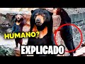 Pessoa Fantasiada de Urso em Zoológico na China? Explicado