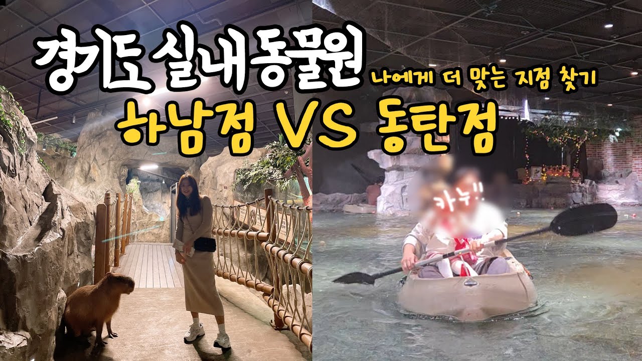 경기도 실내동물원, 가기 전 4분만 보세요! (주렁주렁 하남·동탄 비교)