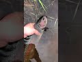 Trout fishing 2026 #fishing #brooktrout #troutfishing #rainbowtrout #fishing2026 #dinner #edit #2026