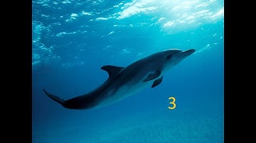 Just The Tip: Episode 3 - How to Sewer Skip.