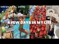 FEW DAYS IN MY LIFE: Getting into a routine, trader joes haul, update on where i&#39;ve been &amp; pool day