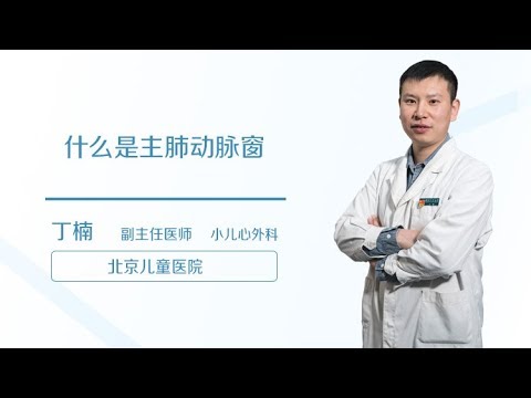 丁楠 11 什么是主肺动脉窗