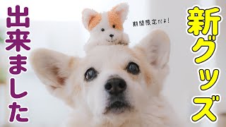【お知らせ】オリジナルグッズの紹介をさせてください!