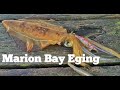 BIG SQUID! Land Based Squidding Session at Marion Bay -EP 1-