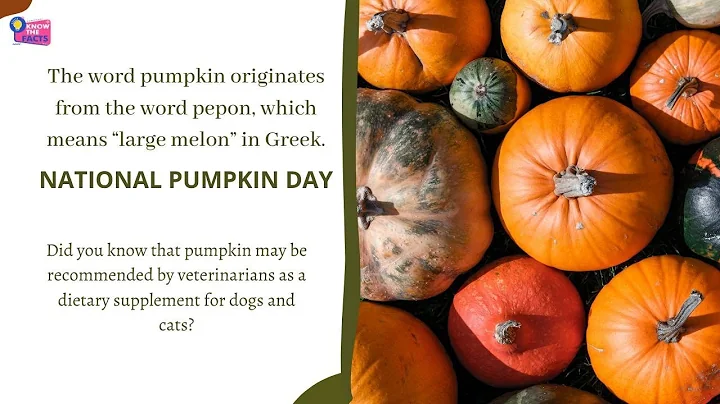 Date Today : 26 October - National Pumpkin Day 2021 | On this day | Know this day