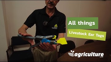 Mastering Livestock Identification: Dr. Mario Beffa on Ear Tags and Traceability
