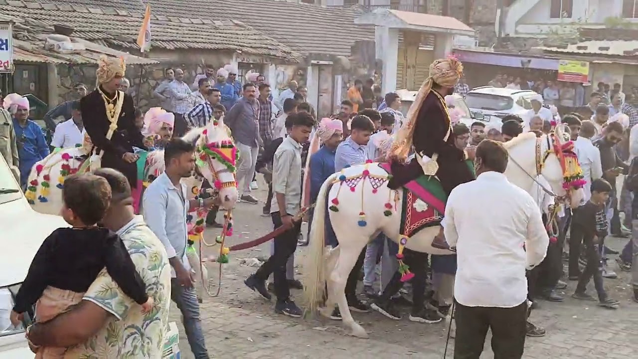 જોરદાર 🔥 ફુલેકું  એકસાથે 25 ઘોડા નું ફુલેકું જલાલપુર ગામ #horse #horseriding #trending #fuleku #new 