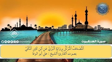 المصحف المرتل برواية البزي عن بن كثير - سورة العنكبوت/ القارىء علي ابوالوفا