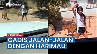 VIRAL Seorang Gadis Jalan-jalan dengan Harimau Seperti Peliharaan