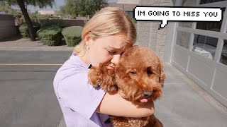 Saying goodbye to our dog.. The SADDEST day!