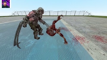 Gmod 1 On 1 Npc Battles Resident Evil 4 Garrador Vs Resident Evil 3 Licker