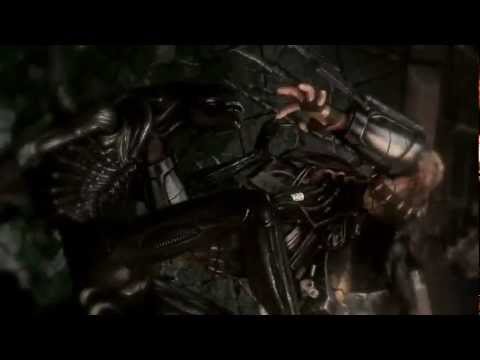 AVP3 - Animal I've Become (Best version?)