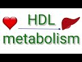 HDL (High Density Lipoprotein) Metabolism II Formation of Nascent HDL,HDL3 &amp; HDL2 II HDL receptors