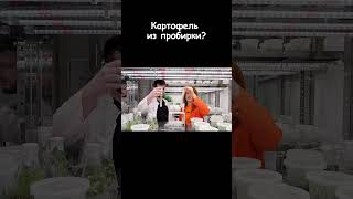 Видели такое? #shorts