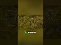 Leveling Fast Kills WoW Magic: Bring Back the Thrill
