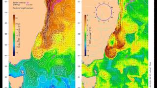 East Australian Current in 2013