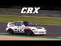 Honda CRX racecar V-TEC | Zolder 2019-2021