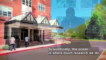 Scientists & Engineers On Sofas: Solving Crimes With DNA (Accessible Preview)