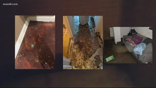 DC neighborhood calls for relief after raw sewage floods homes